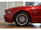 Ford Mustang bei Sportwagen.expert - Abbildung (2 / 15)