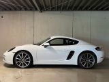 Porsche Cayman bei Sportwagen.expert - Abbildung (3 / 15)
