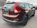 Honda CR-V bei Sportwagen.expert - Abbildung (5 / 15)