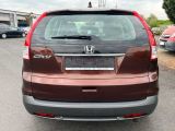 Honda CR-V bei Sportwagen.expert - Abbildung (4 / 15)