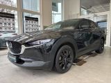 Mazda CX-30 bei Sportwagen.expert - Abbildung (2 / 15)