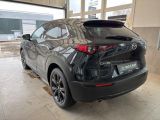 Mazda CX-30 bei Sportwagen.expert - Abbildung (3 / 15)