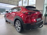 Mazda CX-30 bei Sportwagen.expert - Abbildung (3 / 15)