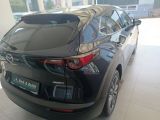 Mazda CX-30 bei Sportwagen.expert - Abbildung (8 / 15)