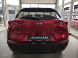 Mazda CX-30 bei Sportwagen.expert - Abbildung (3 / 15)