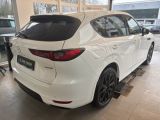 Mazda CX-60 bei Sportwagen.expert - Abbildung (5 / 15)