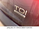 Audi Q3 bei Sportwagen.expert - Abbildung (5 / 15)