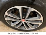 Jaguar F-Pace bei Sportwagen.expert - Abbildung (7 / 15)