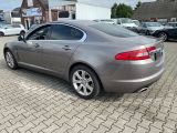 Jaguar XF bei Sportwagen.expert - Abbildung (3 / 15)