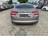 Jaguar XF bei Sportwagen.expert - Abbildung (4 / 15)