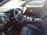 DS Automobiles DS 7 bei Sportwagen.expert - Abbildung (12 / 12)