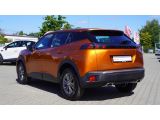 Peugeot 2008 bei Sportwagen.expert - Abbildung (9 / 15)