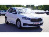 Skoda Fabia bei Sportwagen.expert - Abbildung (4 / 15)