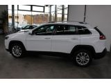 Jeep Cherokee bei Sportwagen.expert - Abbildung (2 / 14)