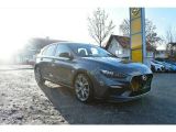 Hyundai i30 bei Sportwagen.expert - Abbildung (3 / 15)