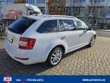 Skoda Octavia bei Sportwagen.expert - Abbildung (8 / 15)