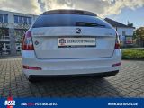 Skoda Octavia bei Sportwagen.expert - Abbildung (6 / 15)