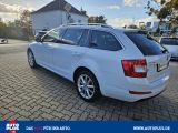 Skoda Octavia bei Sportwagen.expert - Abbildung (4 / 15)