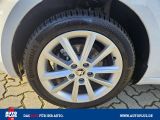 Skoda Octavia bei Sportwagen.expert - Abbildung (13 / 15)