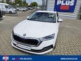 Skoda Octavia bei Sportwagen.expert - Abbildung (11 / 15)