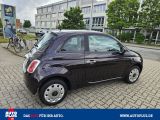Fiat 500 bei Sportwagen.expert - Abbildung (7 / 15)