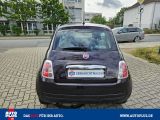 Fiat 500 bei Sportwagen.expert - Abbildung (6 / 15)