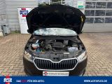 Skoda Fabia bei Sportwagen.expert - Abbildung (9 / 15)