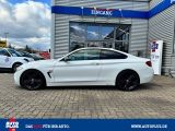 BMW 4er bei Sportwagen.expert - Abbildung (3 / 15)