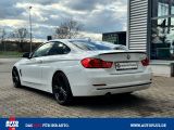 BMW 4er bei Sportwagen.expert - Abbildung (4 / 15)