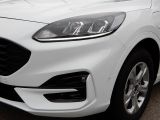 Ford Kuga bei Sportwagen.expert - Abbildung (2 / 15)