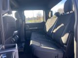 Ford F bei Sportwagen.expert - Abbildung (7 / 15)