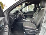 Ford Kuga bei Sportwagen.expert - Abbildung (6 / 15)