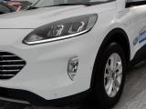 Ford Kuga bei Sportwagen.expert - Abbildung (2 / 15)