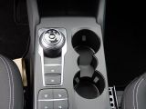Ford Kuga bei Sportwagen.expert - Abbildung (11 / 15)