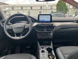 Ford Kuga bei Sportwagen.expert - Abbildung (14 / 15)
