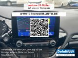 Ford Fiesta bei Sportwagen.expert - Abbildung (15 / 15)