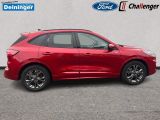 Ford Kuga bei Sportwagen.expert - Abbildung (6 / 15)