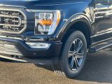 Ford F bei Sportwagen.expert - Abbildung (2 / 15)