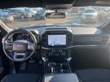 Ford F bei Sportwagen.expert - Abbildung (8 / 15)