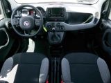 Fiat Panda bei Sportwagen.expert - Abbildung (6 / 14)