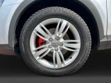 Audi Q3 bei Sportwagen.expert - Abbildung (6 / 15)