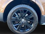 VW T6 bei Sportwagen.expert - Abbildung (7 / 15)