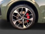 Audi SQ5 bei Sportwagen.expert - Abbildung (7 / 15)