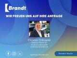 Nissan Juke bei Sportwagen.expert - Abbildung (2 / 15)