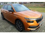 Skoda Kamiq bei Sportwagen.expert - Abbildung (4 / 15)