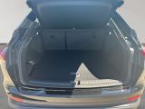 Audi Andere bei Sportwagen.expert - Abbildung (9 / 15)