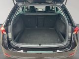 Skoda Octavia bei Sportwagen.expert - Abbildung (9 / 15)