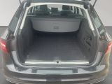 Audi A4 bei Sportwagen.expert - Abbildung (9 / 15)