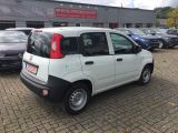 Fiat Panda bei Sportwagen.expert - Abbildung (2 / 10)