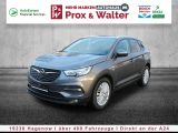 Opel Grandland X bei Sportwagen.expert - Abbildung (2 / 15)